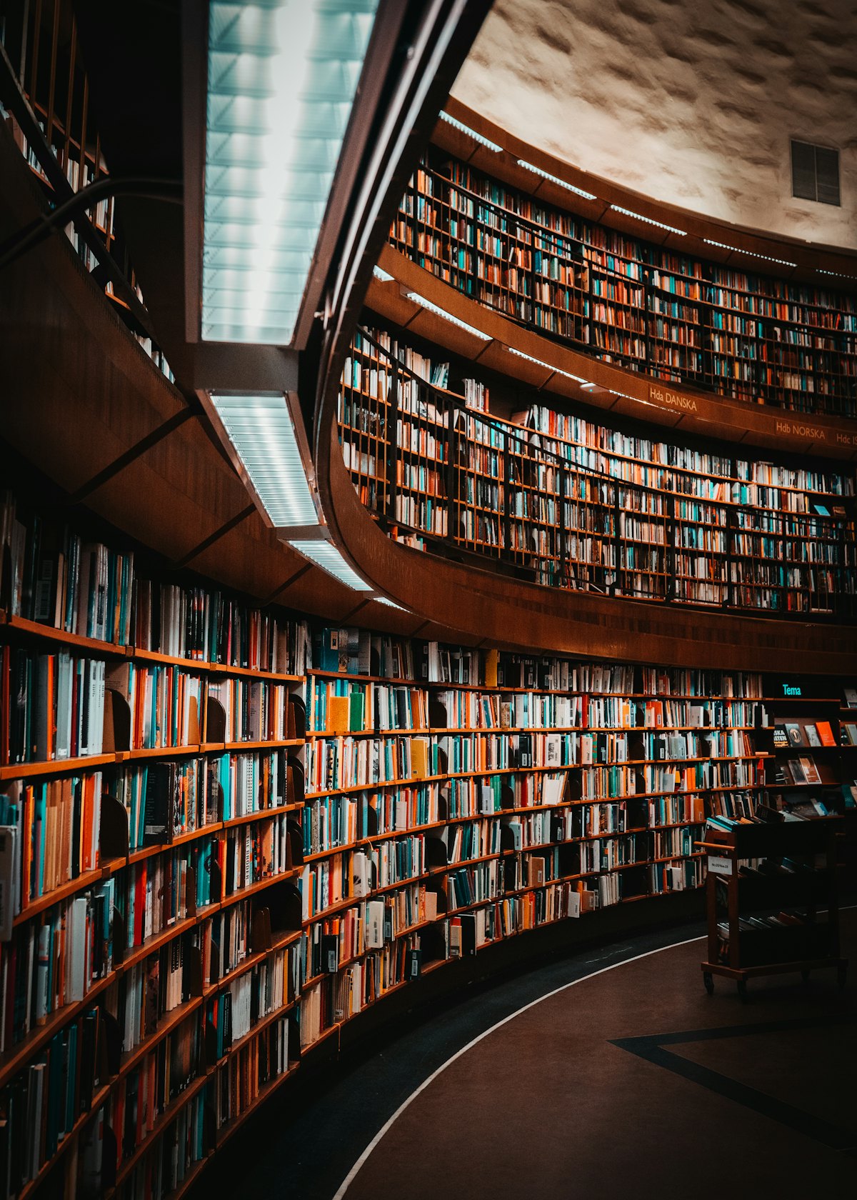 国际学校图书馆